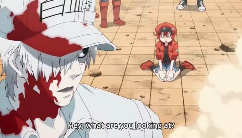 Cells at Work